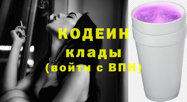 соль ск Арсеньев