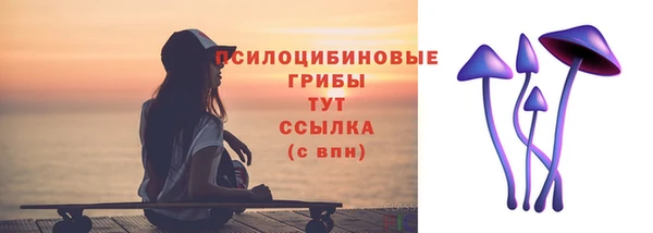 соль ск Арсеньев