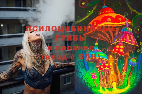 гидра Алексеевка