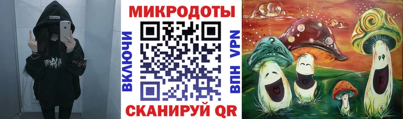 Купить  Кизел  Псилоцибиновые грибы Cubensis 
